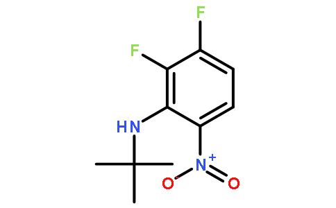 N-(tert-Butyl)-2,3-difluoro-6-nitroaniline