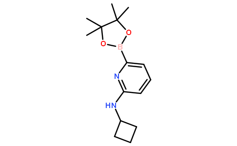 6-(Cyclobutylamino)pyridine-2-boronic acid pinacol ester