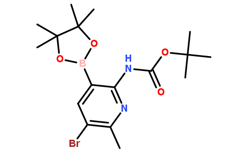 5-Bromo-2-tert-Butyloxycarbonylamino-6-methylpyridine-3-boronic acid pinacol ester