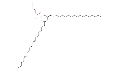 1-O-hexadecyl-2-(5Z,8Z,11Z,14Z,17Z-eicosapentaenoyl)-sn-glycero-3-phosphocholine