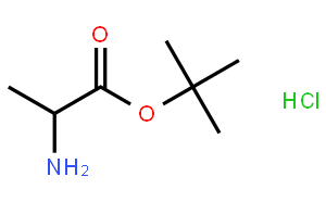 H-Ala-OtBu.HCl