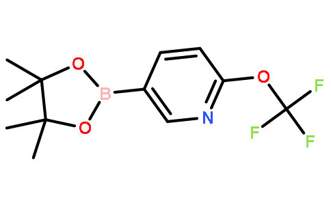 6-Trifluoromethoxypyridine-3-boronic acid pinacol ester