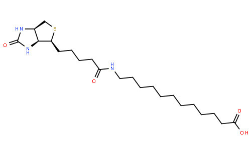 N-biotinyl-dodecanoic acid