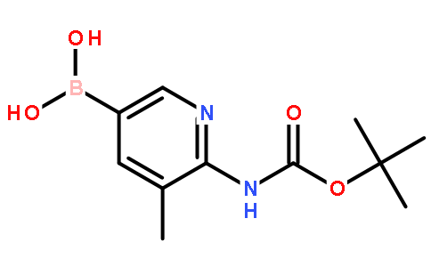 2-tert-Butyloxycarbonylamino-3-methylpyridine-5-boronic acid