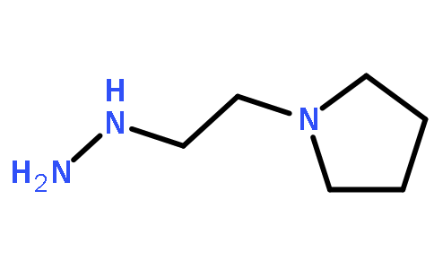 (2-Pyrrolidin-1-yl-ethyl)-hydrazine