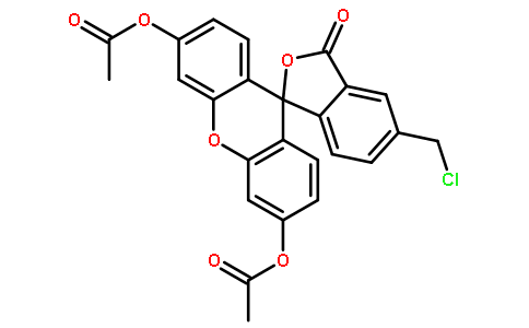 Cellhunt  Green CMFDA [5-Chloromethylfluorescein Diacetate]