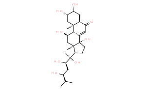 Rhapontisterone