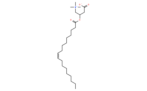oleoyl L-carnitine
