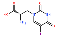 (S)-(-)-5-Iodowillardiine(140187-25-3)