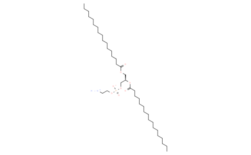 1,2-diheptadecanoyl-sn-glycero-3-phosphoethanolamine