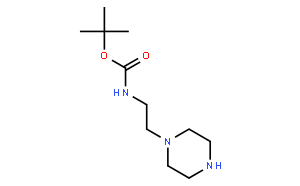 1-(2-n-boc-aminoethyl)piperazine