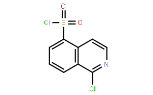 1-Chloro-5-IsoquinolinesulfonylChloride