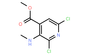 Methyl 2,6-Dichloro-3-(MethylaMino)isonicotinate