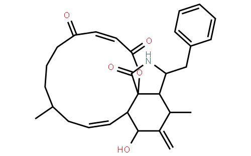 Cytochalasin A