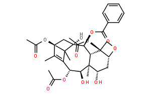 13-acetyl-9-dihydrobaccatin iii