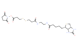 NHS-SS-Biotin