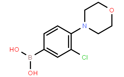 3-Chloro-4-morpholinophenylboronic acid