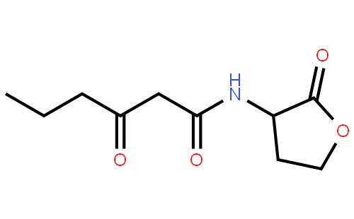 N-(Ketocaproyl)-L-homoserine Lactone