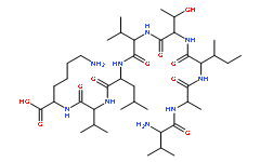 CALP1