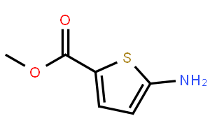5-氨基-2-噻吩甲酸甲酯
