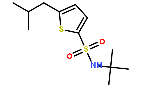 N-(tert-Butyl)-5-isobutylthiophene-2-sulfonamide