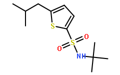 N-(叔丁基)-5-异丁基噻吩-2-磺酰胺