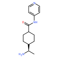 Y-27632 Dihydrochloride