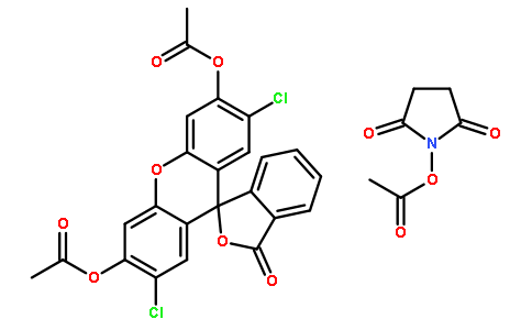 5-(6)-CDCFDA, SE  [5(6)-Carboxy-2',7'-dichlorofluorescein diacetate, succinimidyl ester]