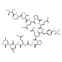 pp60 c-src (521-533) (phosphorylated)