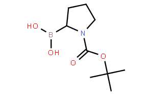 N-叔丁氧羰基吡咯烷-2-硼酸