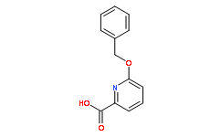 6-芐氧基吡啶-2-羧酸