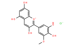 氯化矮牽牛素