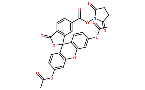 6-CFDA, SE  [6-Carboxyfluorescein diacetate succinimidyl ester]
