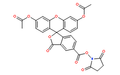 5-CFDA, SE  [5-Carboxyfluorescein diacetate succinimidyl ester]