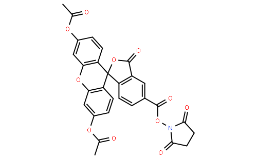 5-CFDA, SE  [5-Carboxyfluorescein diacetate succinimidyl ester]
