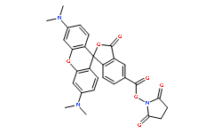 5(6)-羧基四甲基罗丹明N-琥珀酰亚胺酯