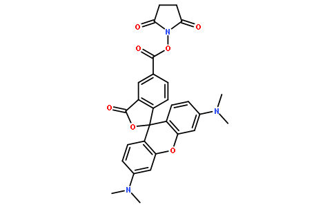 5(6)-TAMRA, SE  [5(6)-Carboxytetramethylrhodamine, succinimidyl ester]