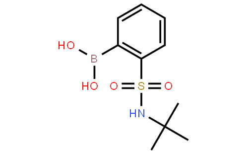 2-(叔丁基氨基)磺酰基苯硼酸