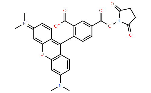 5-羧基四甲基罗丹明琥珀酰亚胺酯