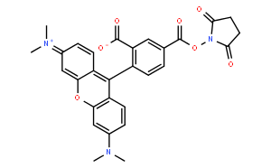 5-Carboxytetramethylrhodamine succinimidyl ester;5-TAMRA, SE