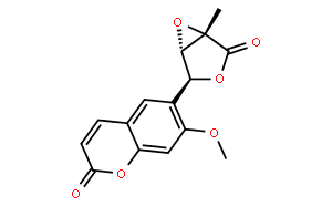 小蕓木素