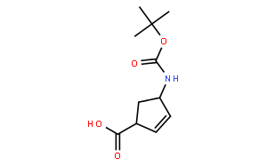 (1S，4R)-(-)-4-(Boc-氨基)-2-环戊烯羧酸