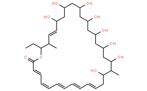 红放线菌素A