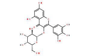 Myricetin3-O-galactoside