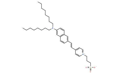 Di-8-ANEPPS