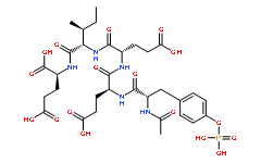 N-Acetyl-O-phosphono-Tyr-Glu-Glu-Ile-Glu