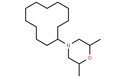 环十二吗啉