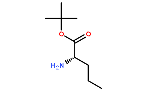 L-Norvaline t-butyl ester