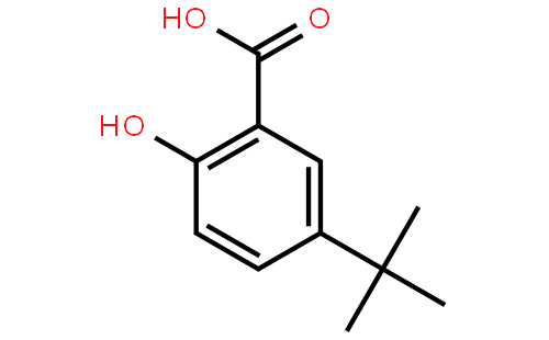 5-tert-Butyl-2-hydroxybenzoic acid