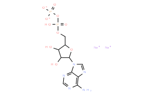 腺苷-5'-二磷酸二钠(ADP)